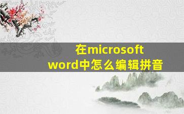 在microsoft word中怎么编辑拼音